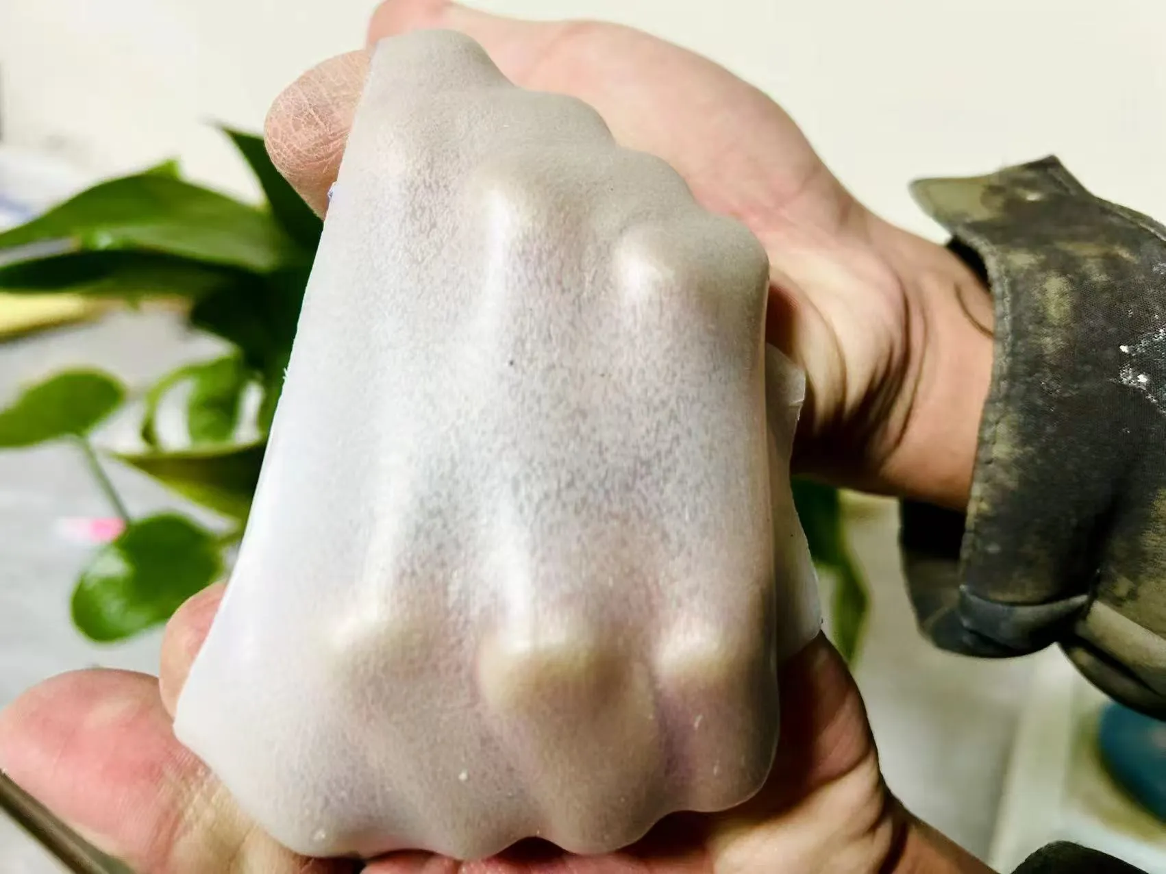 Redispersible Polymer Powder(RDP)